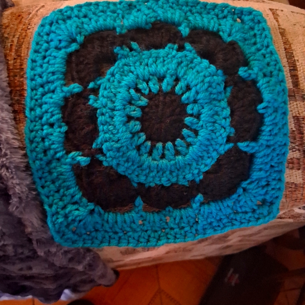 Meet your Posher, Gracie